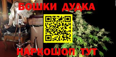 индика Кунгур