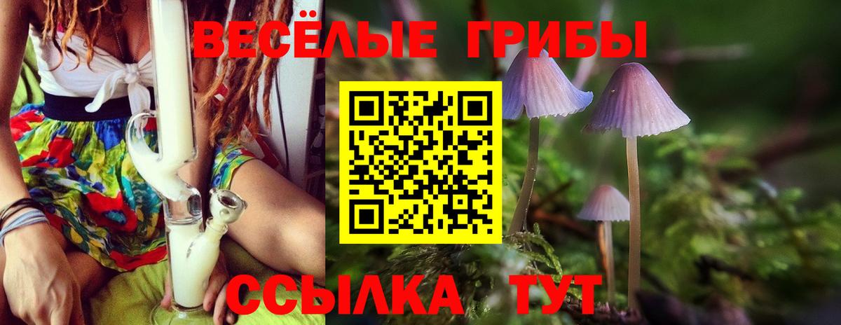 Псилоцибиновые грибы Psilocybe  Псилоцибиновые грибы MAGIC MUSHROOMS  Вход с VPN  Кашира 